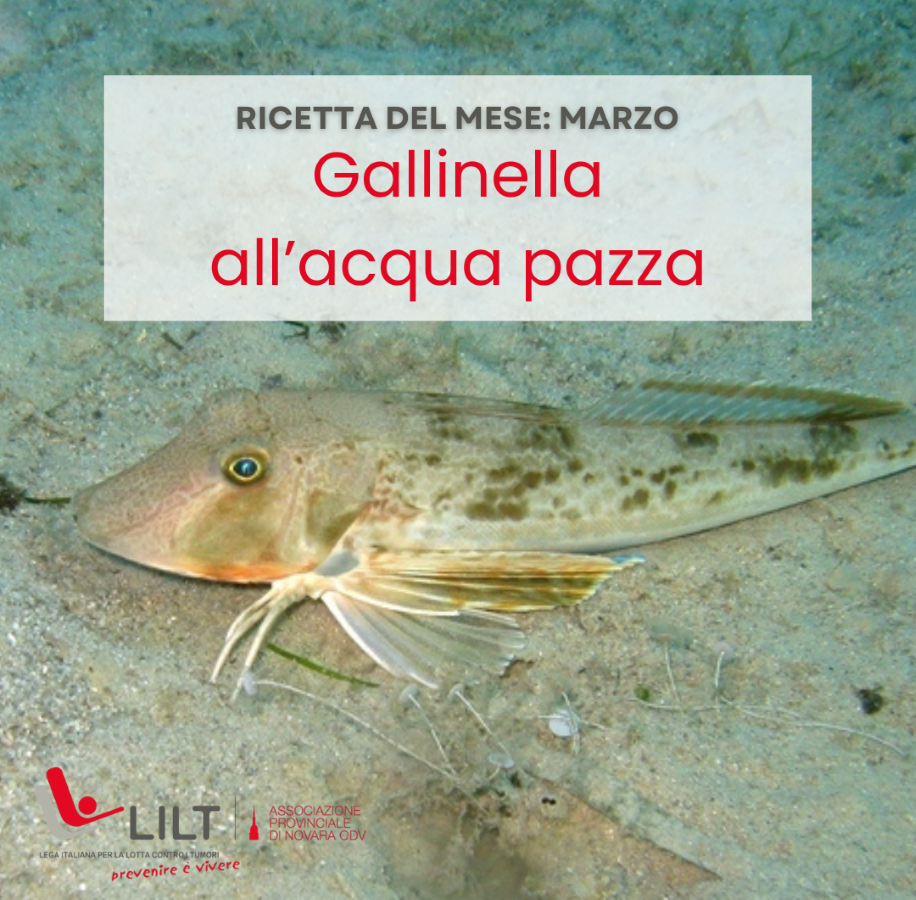 Gallinella all